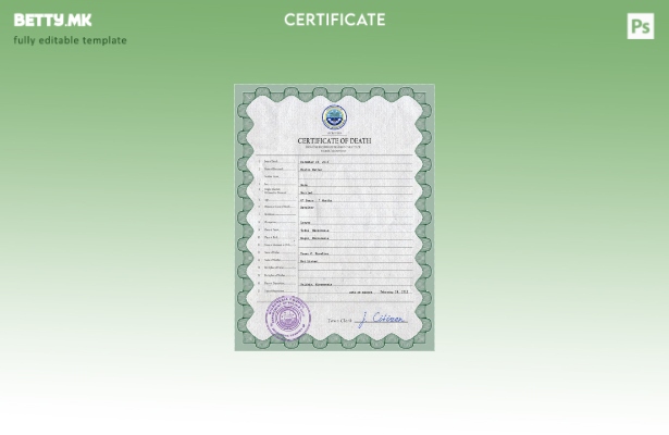 модерен стил Микронезија од витално важна евиденција за смртен шаблон PSD шабл